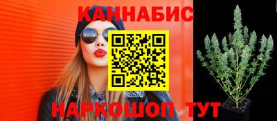 jwh Кинель