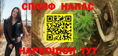прущие грибы Кингисепп